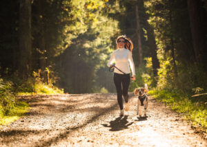 Łomianki osiedle mieszkalne